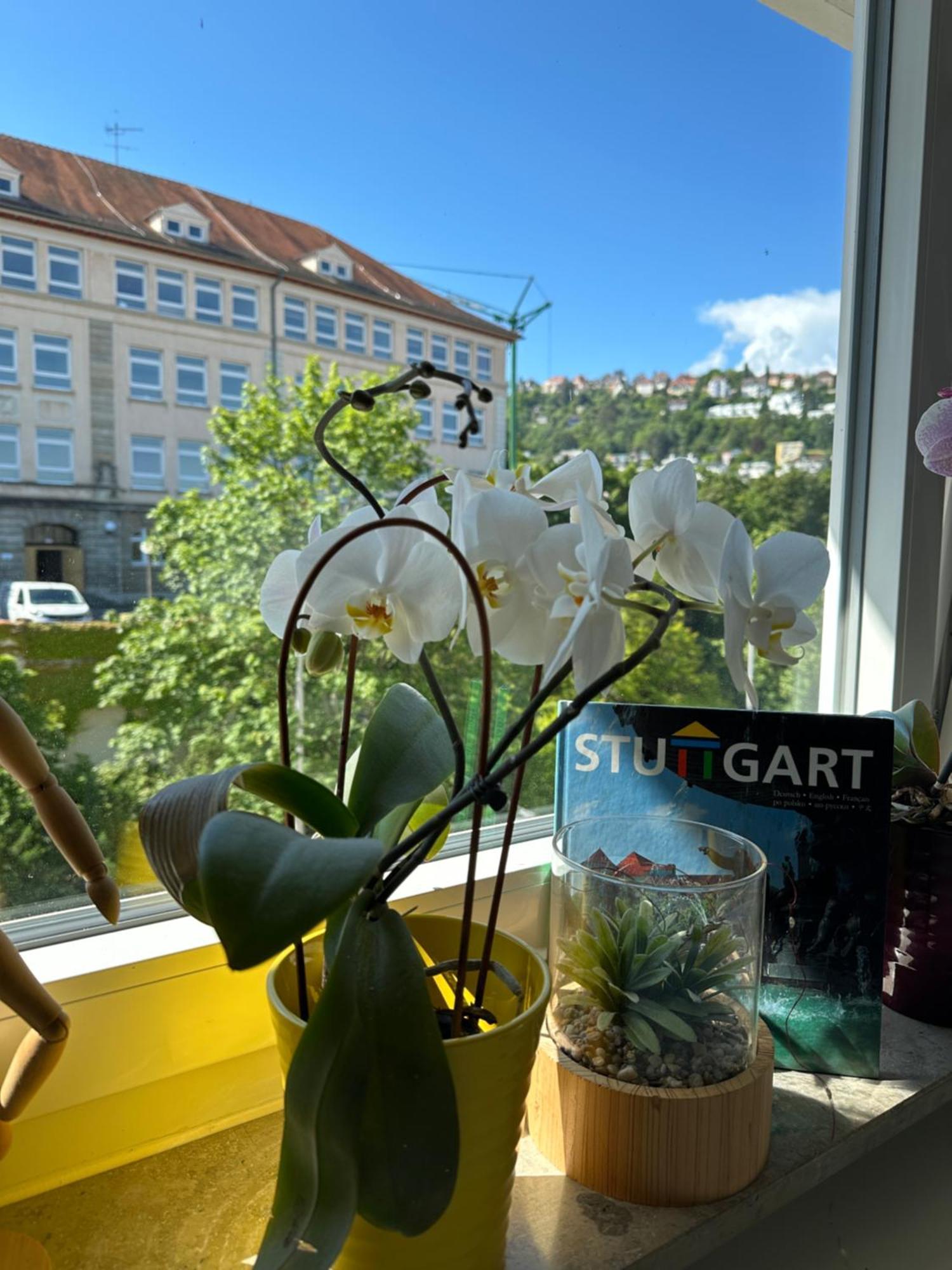 Апартаменты Renovated Flat - Prime Location Near Marienplatz Штутгарт Экстерьер фото